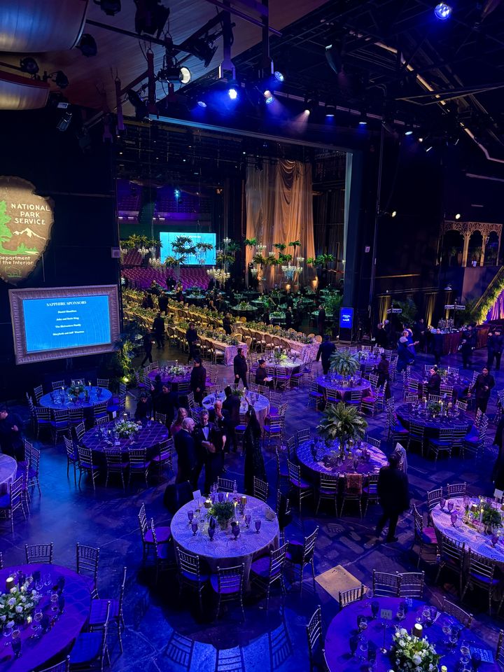 Overhead view of a gala dinner in purple and blue